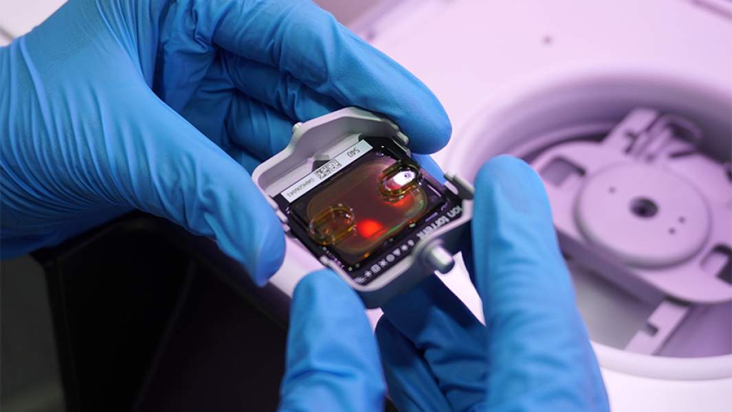 лаборатория