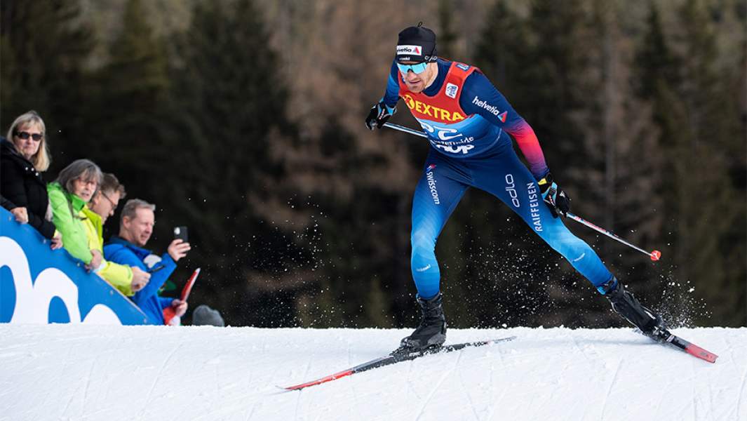 Дарио Колонья