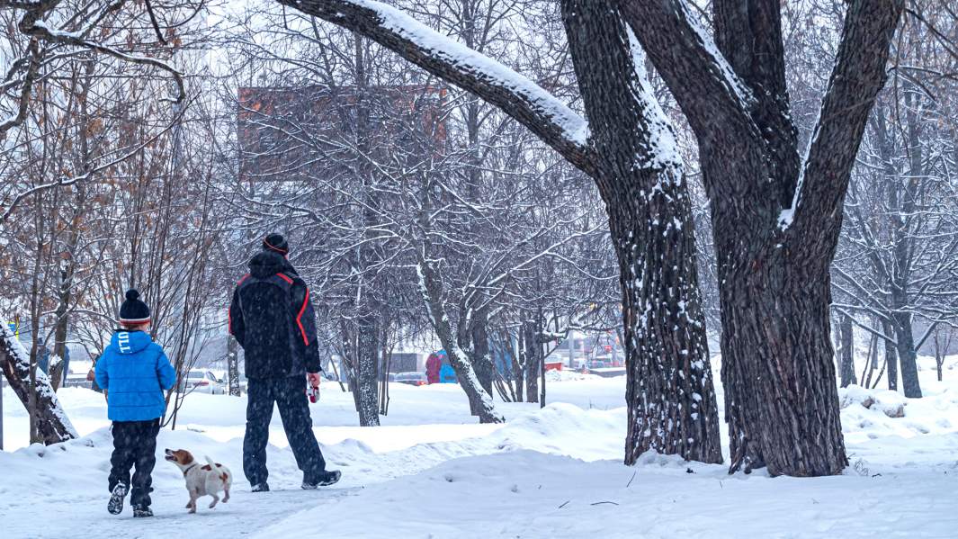 парк москвы