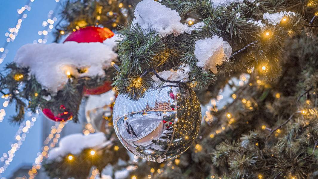 новый год елка