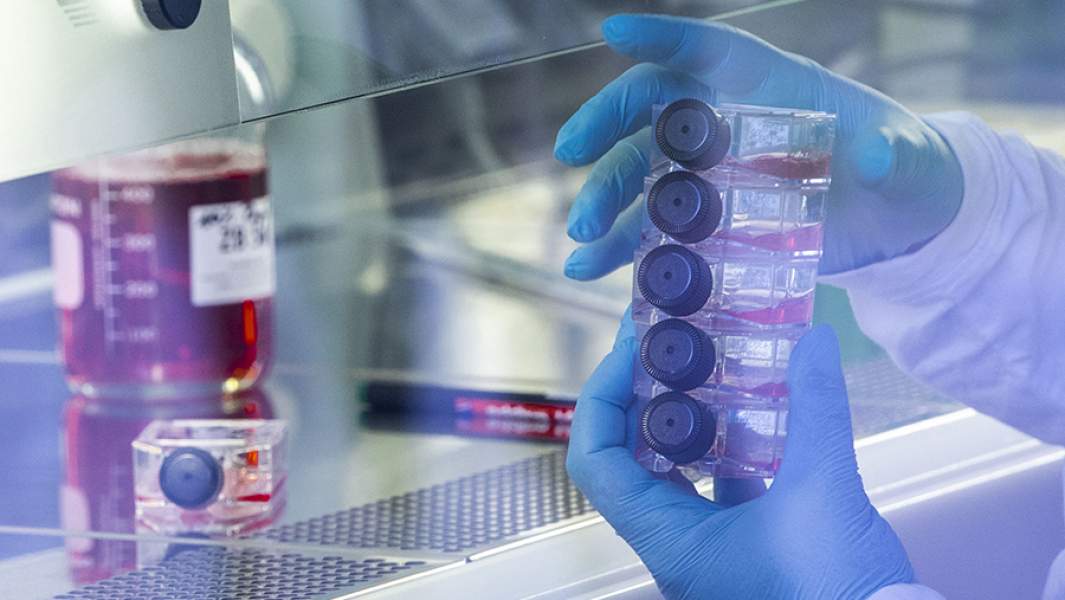 Биологическая лаборатория