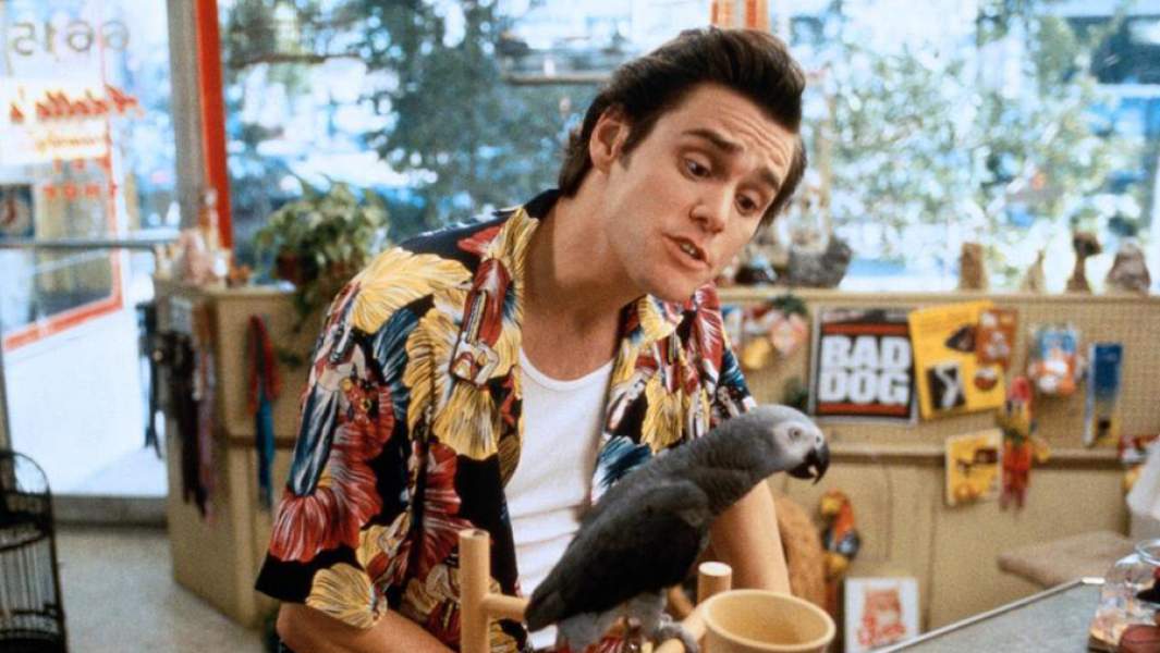 Кадр из фильма «Эйс Вентура»