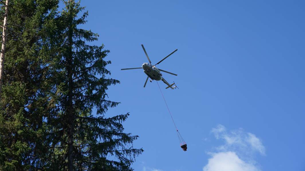 лесной пожар