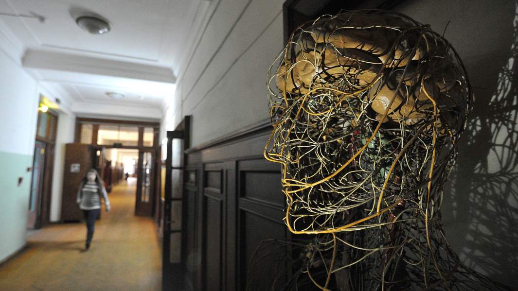 Модель нервной системы человека