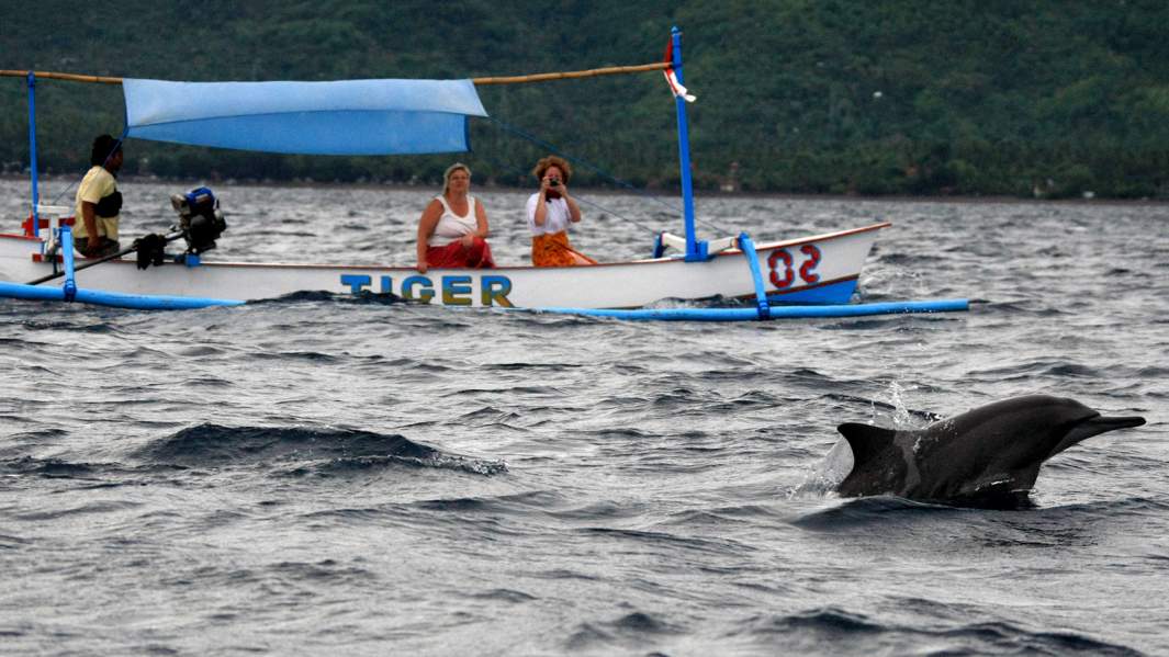 бали туристы отдых