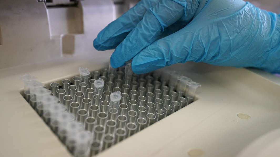 лаборатория 