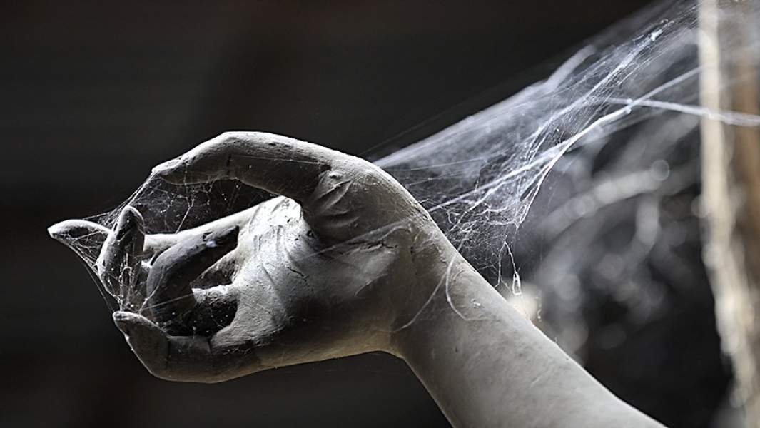 Паутина рука