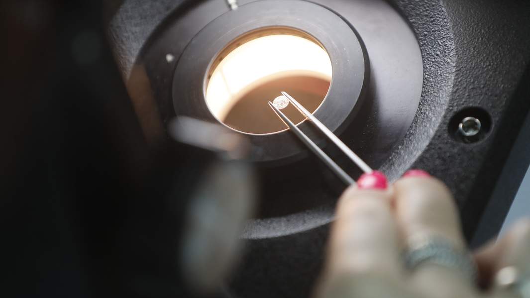 Драгоценный камень