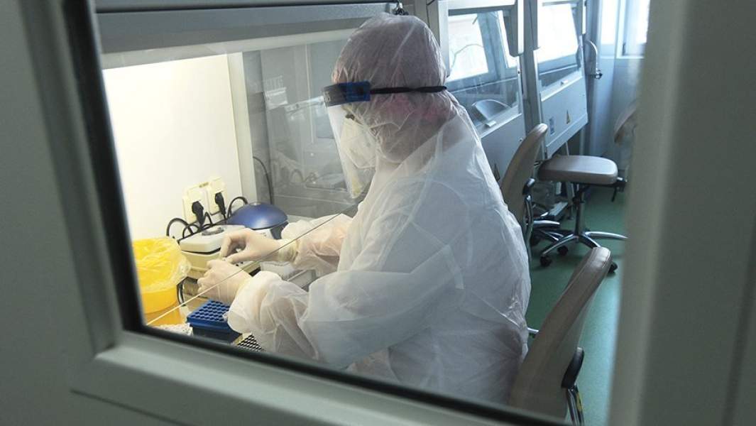 Врач клинико-диагностической лаборатории во время пцр-исследования