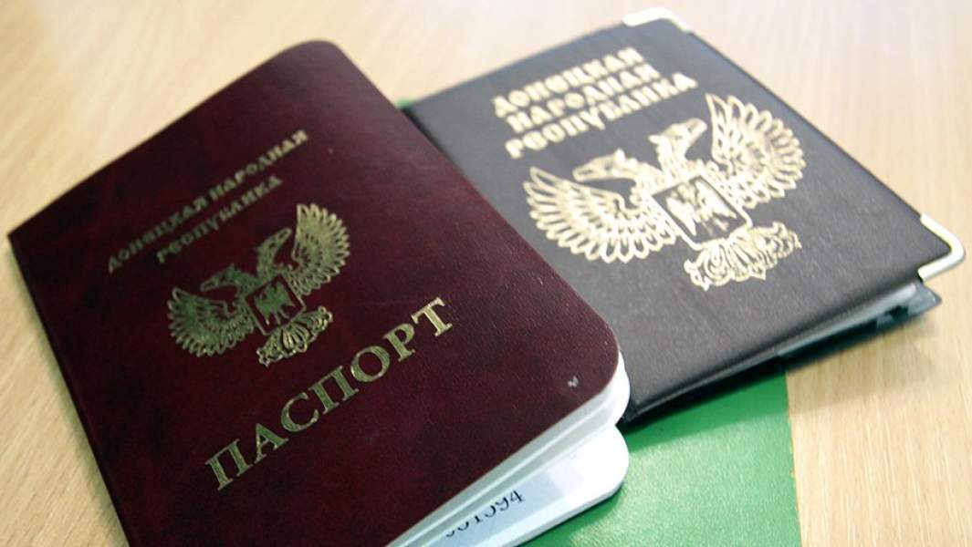 паспорт днр