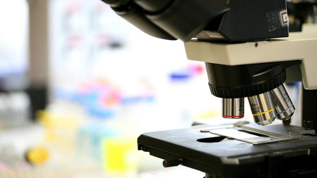 лаборатория 