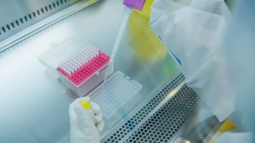 лаборатория 