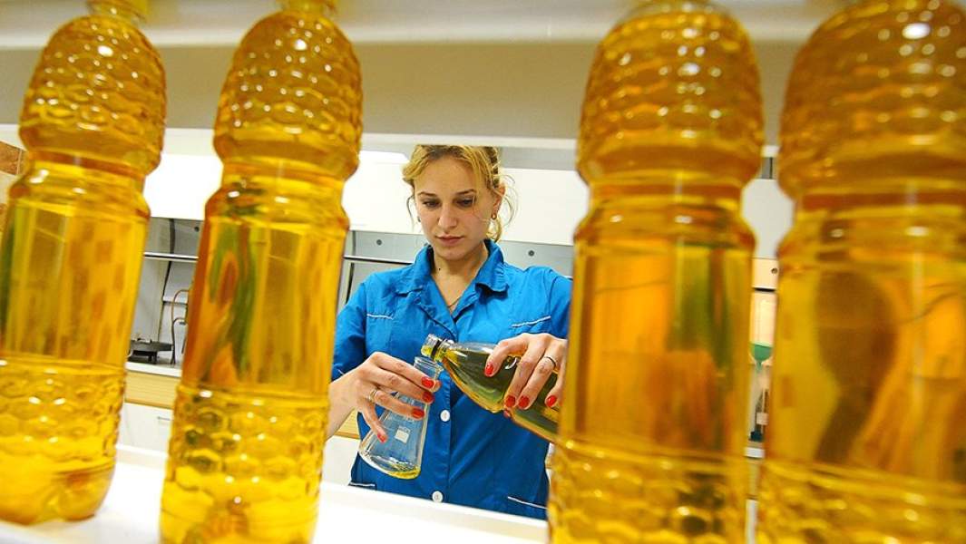 Лаборант производит анализ подсолнечного нерафинированного масла в лаборатории комбината в Тамбовской области