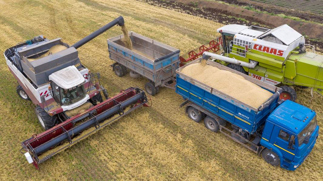 зерно уборка 