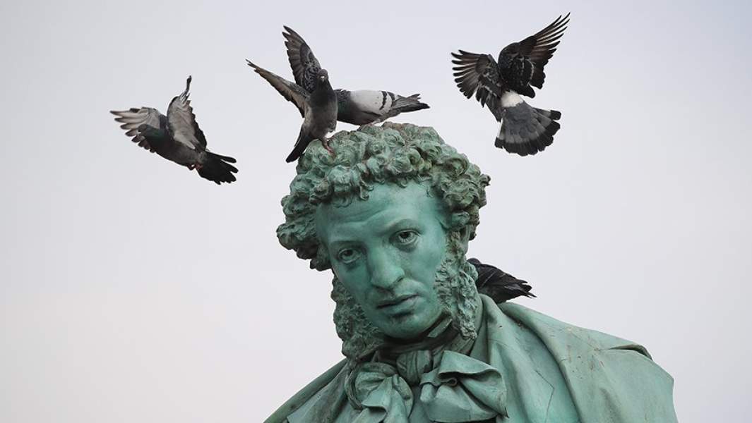 пушкин голуби