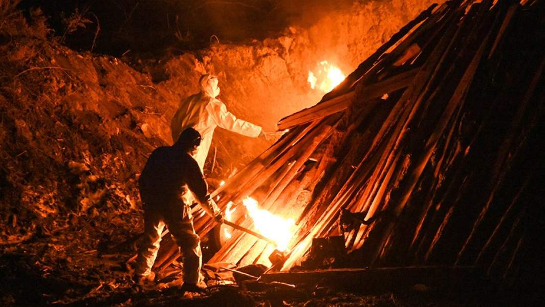 Сотрудники станции по борьбе с болезнями животных во время сжигания свинопоголовья в районе полигона твердых коммунальных отходов, в связи с выявлением африканской чумы свиней в Забайкальском крае