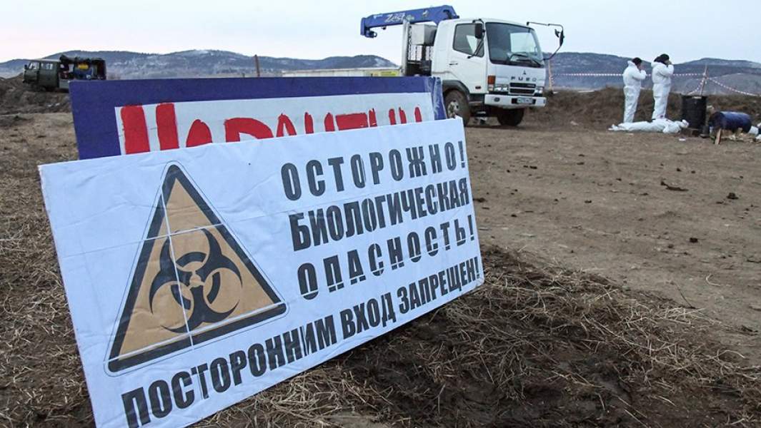 Информационная табличка в районе полигона твердых коммунальных отходов, где проходит сжигание свинопоголовья в связи с выявлением африканской чумы свиней в Забайкальском крае