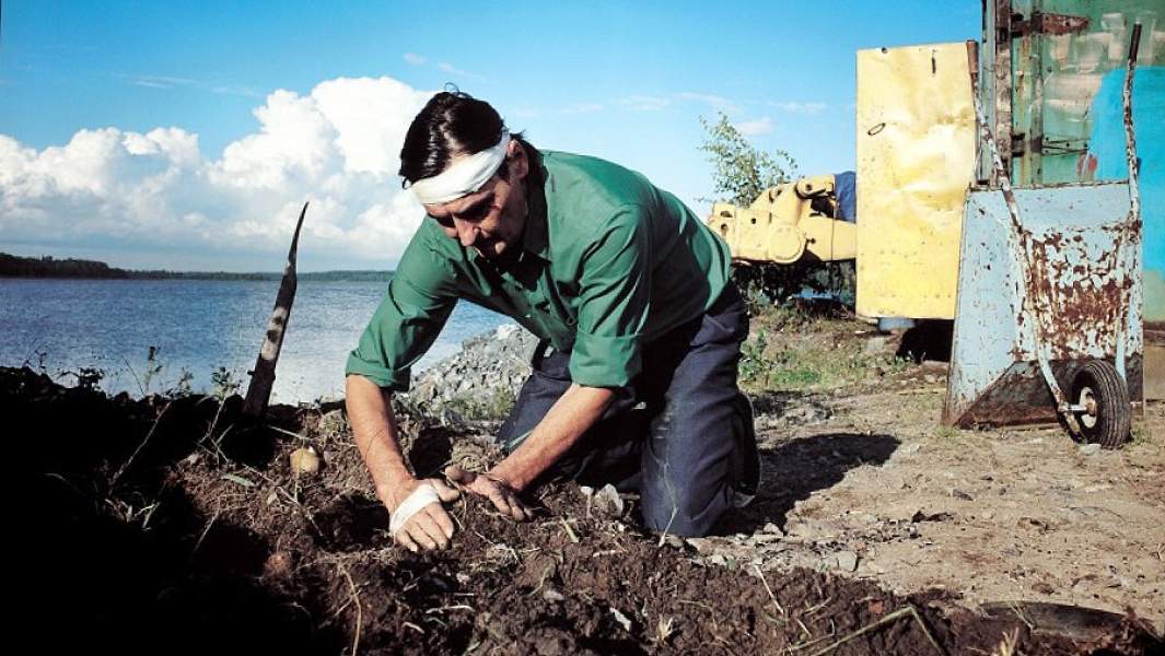 Кадр из фильма «Человек без прошлого»