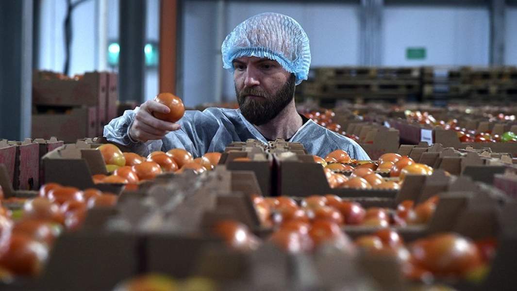 Проверка продукции