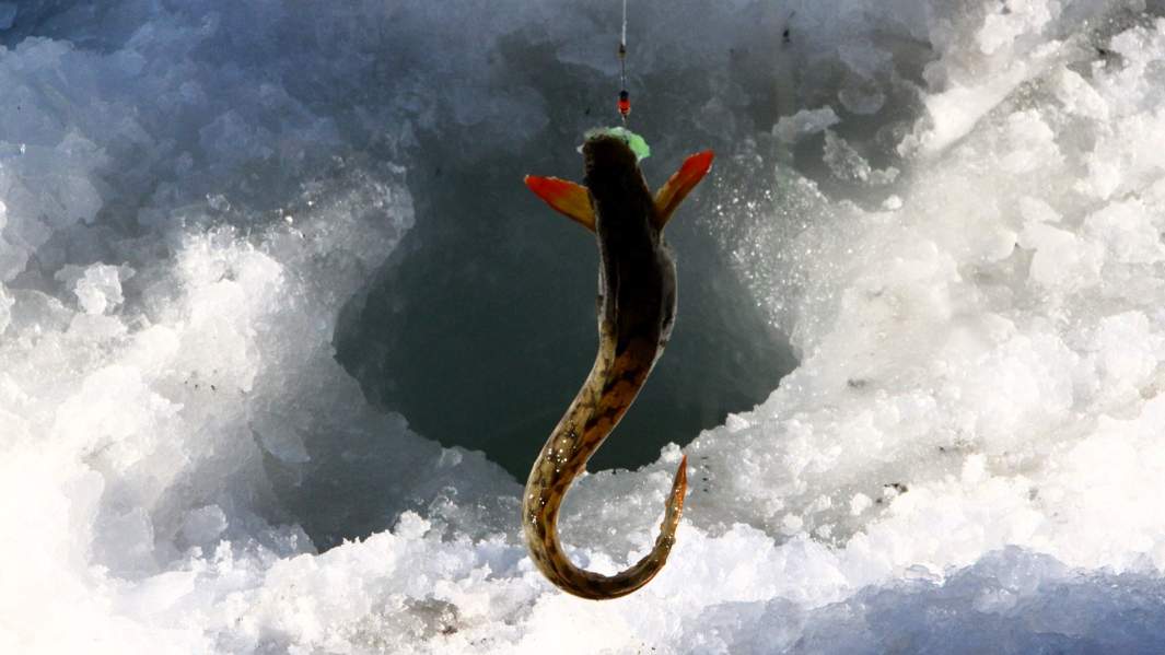 магадан рыбалка фестиваль 