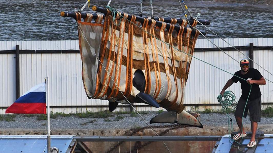 китовая тюрьма