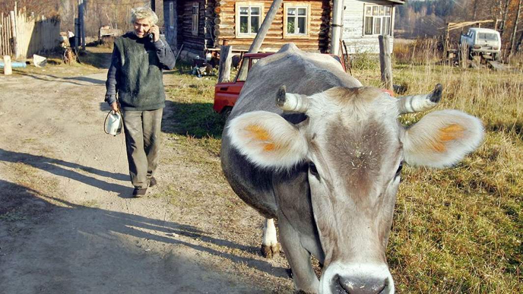 Фермер разговаривает по мобильному телефону