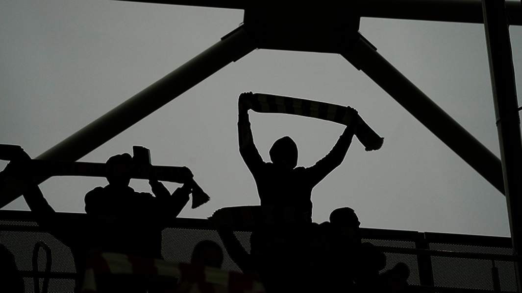 болельщики