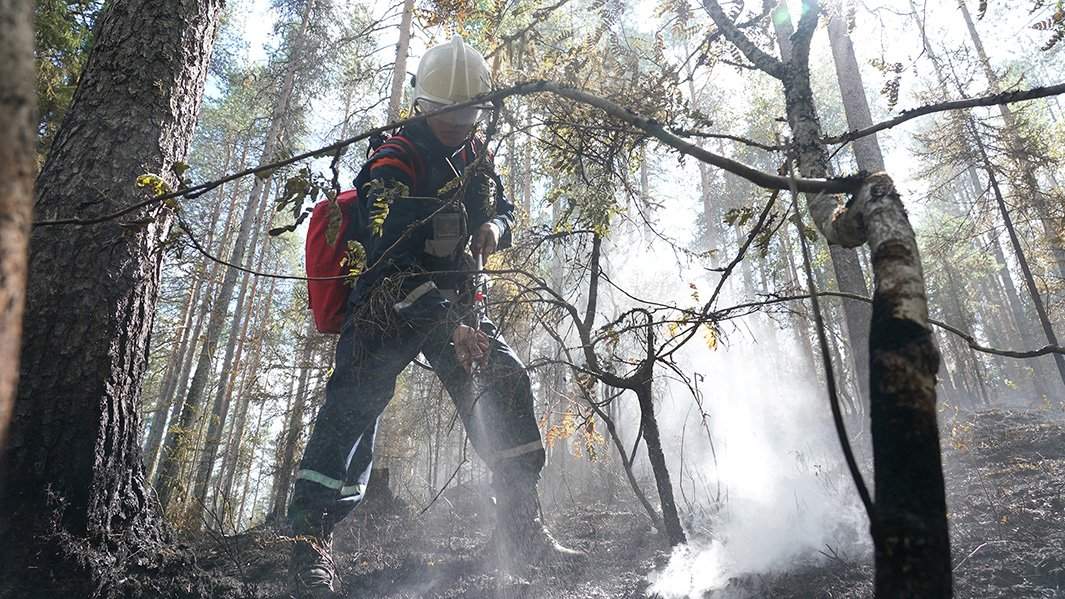 лесной пожар