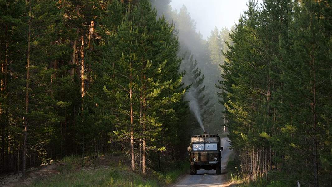 обработка леса