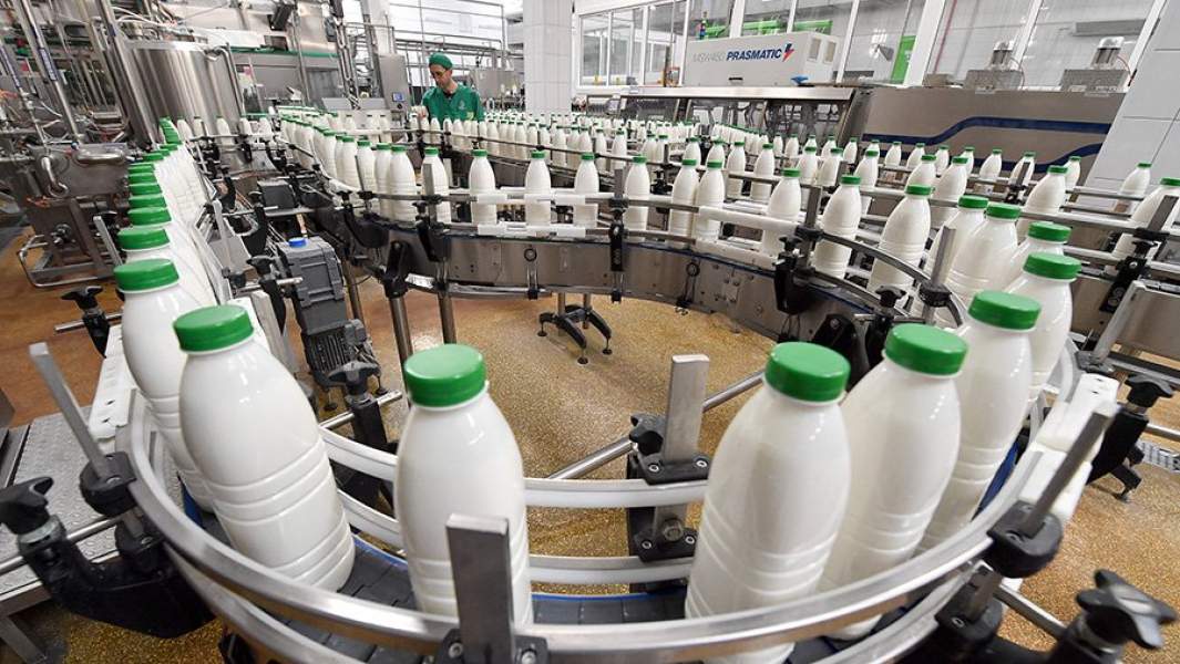 молоко производство белоруссия