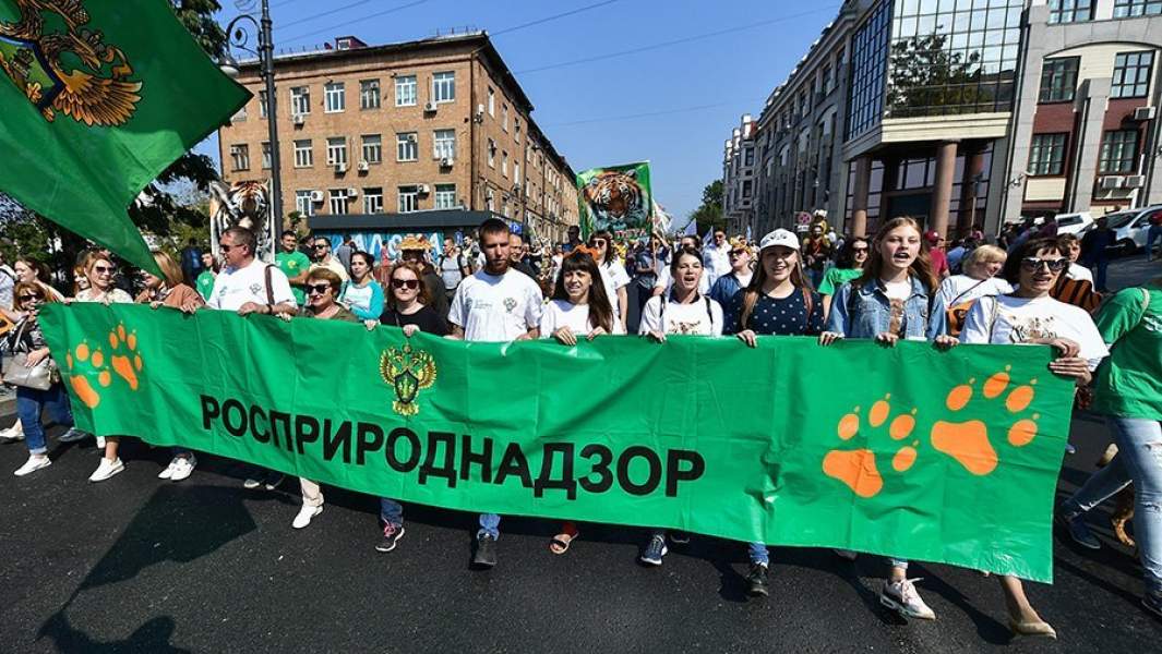 Шествие в День тигра во Владивостоке