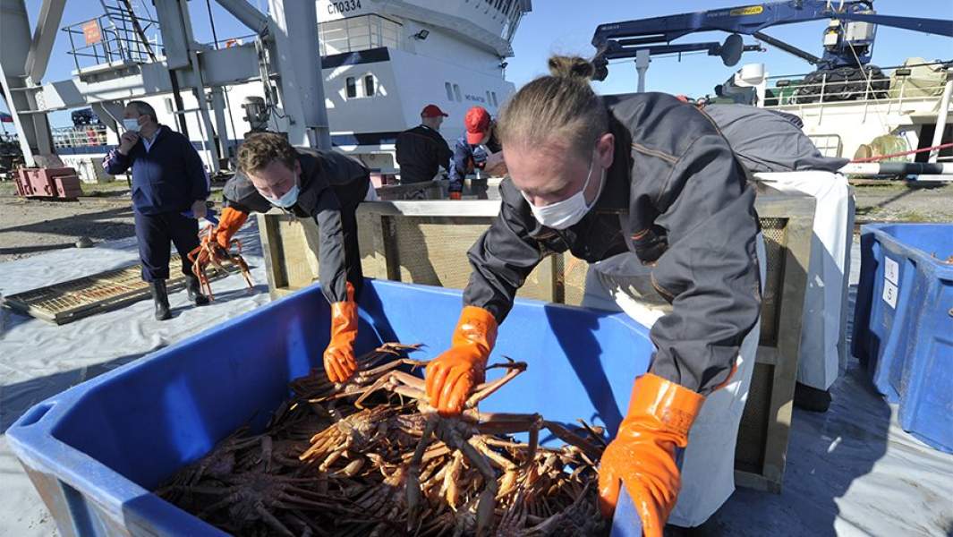 морепродукты