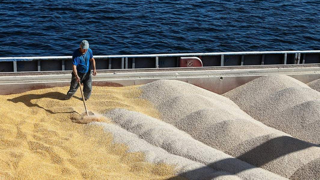 Загрузка зерна на судно