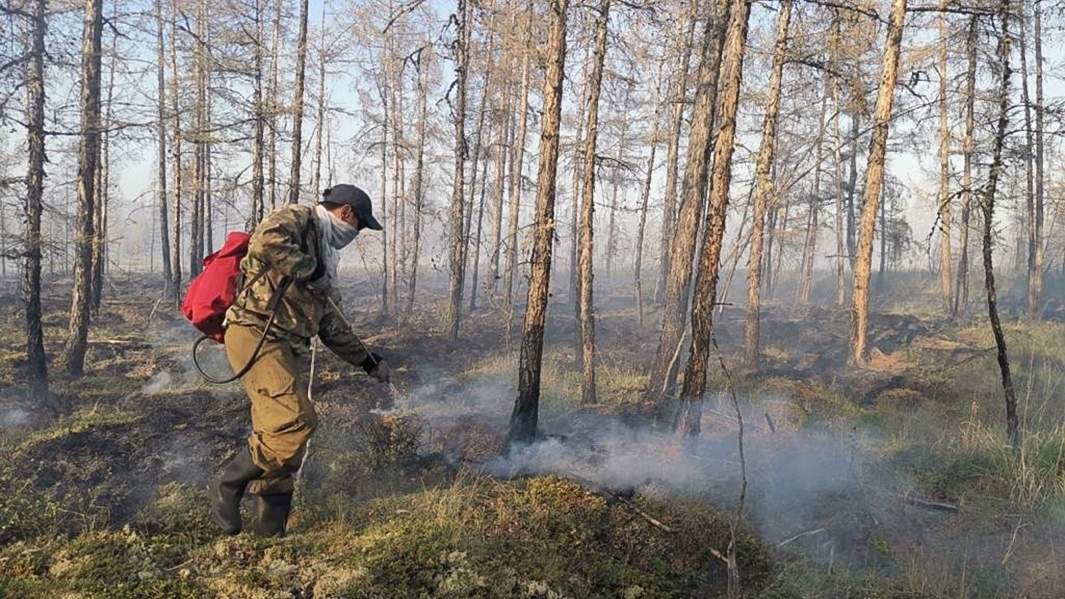 Лесные пожары сведения. Пожары в Якутии 2021. Лесные пожары. Лесные пожары в Якутии. Природный пожар в Якутии.