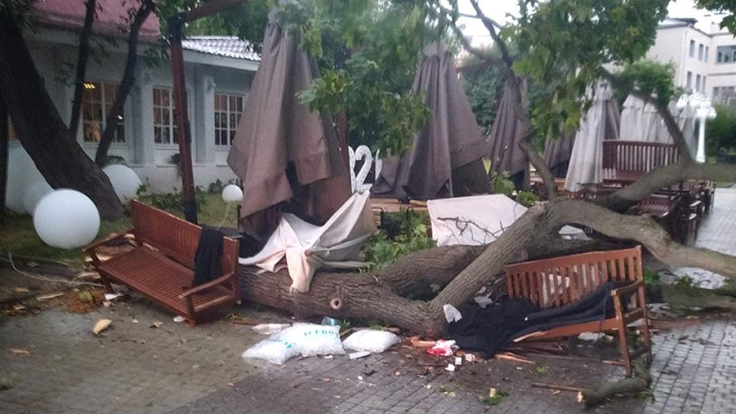 Последствия падения дерева на летнее кафе в саду «Эрмитаж» в Москве