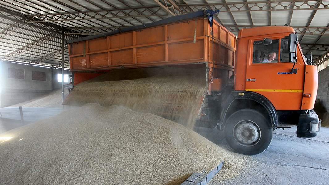 зерно урожай камаз