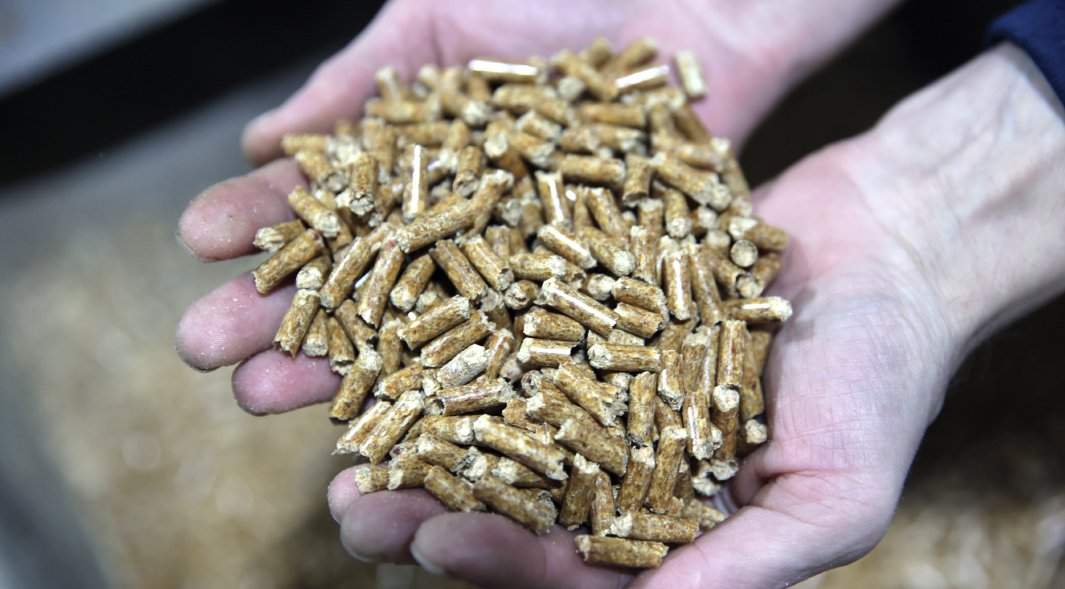Рабочий на деревообрабатывающем предприятии держит в руках пеллеты