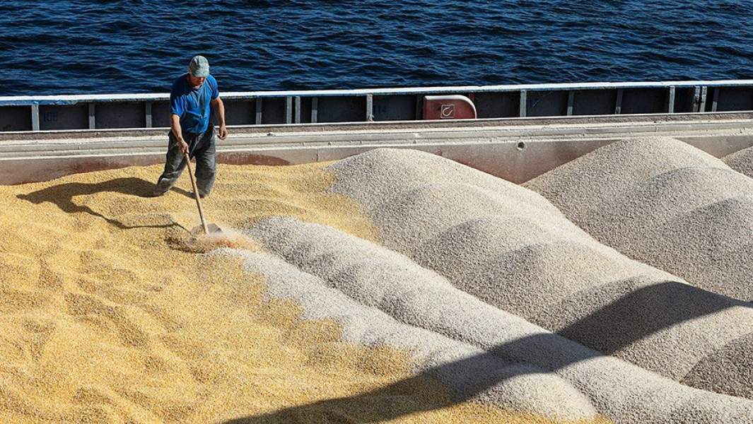  Загрузка зерна на судно