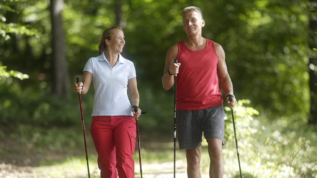 Счастливые люди ходят по лесу с треккинговыми палками