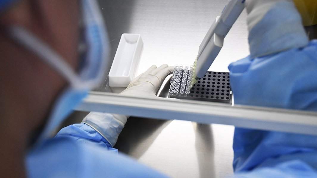 Лаборатория анализы тесты