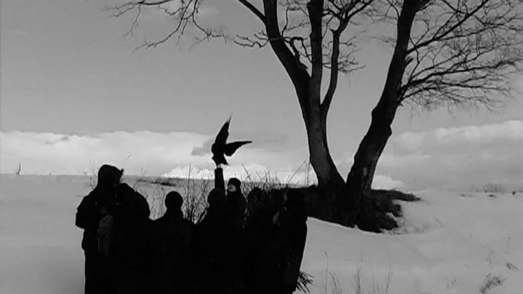 «Отчаяние»