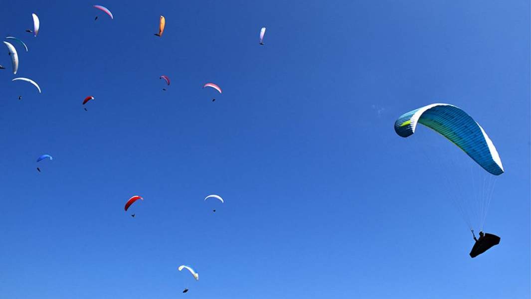 парапланы 