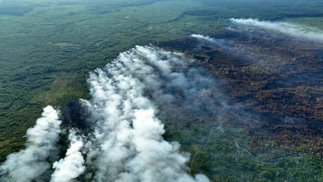Природный пожар в Рязанской области, площадь лесного пожара в Спасском районе составляет 500 га, введен режим ЧС.