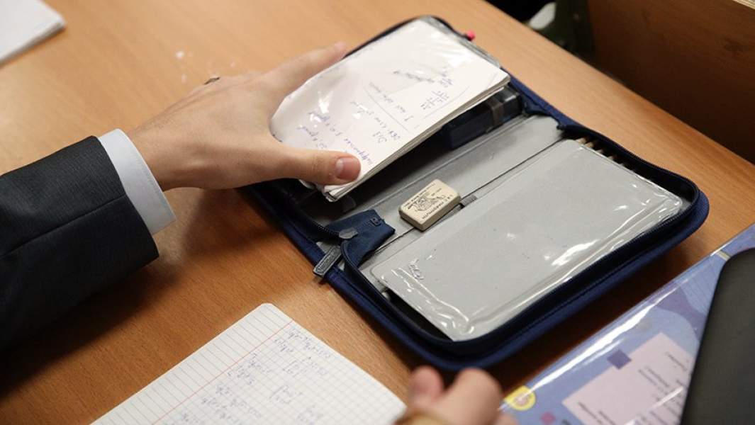 школьный пинал и  шпоргалка