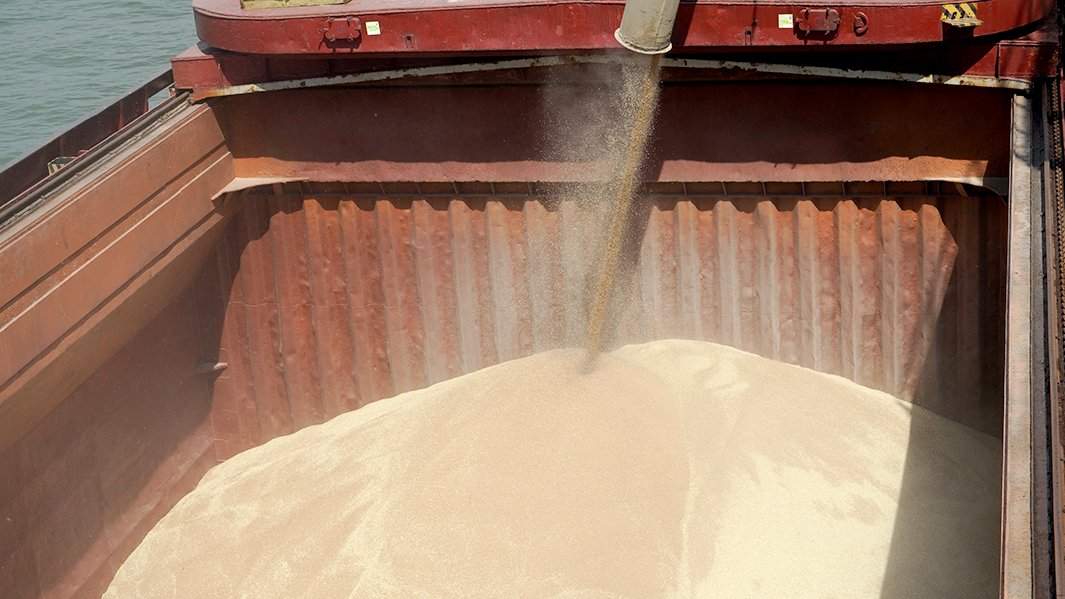 сельское хозяйство