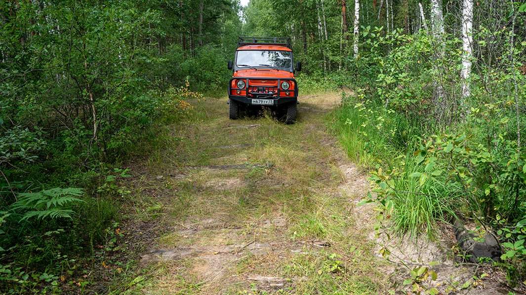 О том, что здесь когда-то проходила железная дорога, сейчас говорят полусгнившие деревянные шпалы