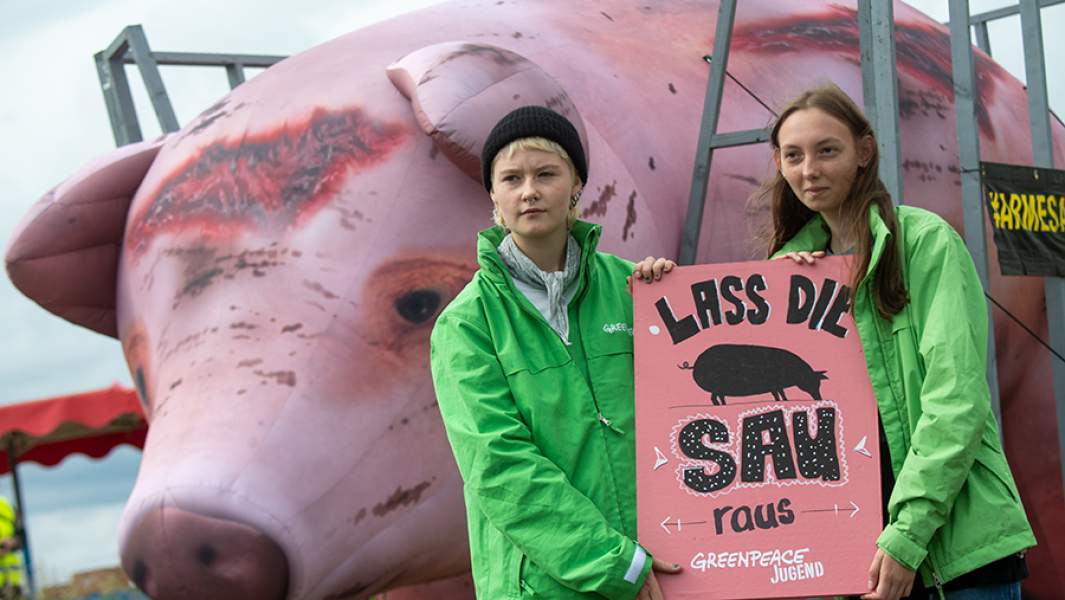 Активисты Greenpeace