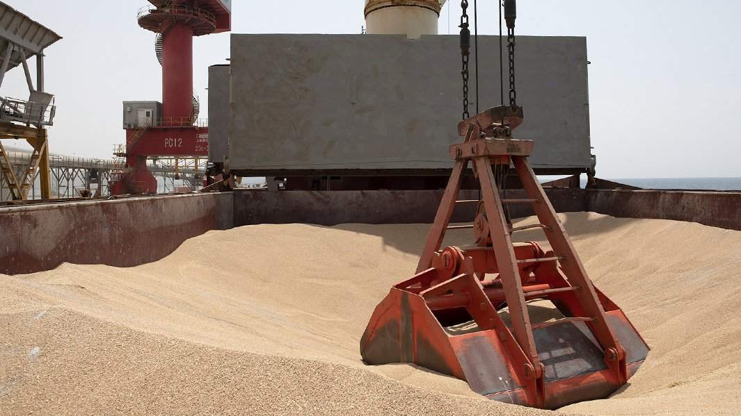 зерно с украины