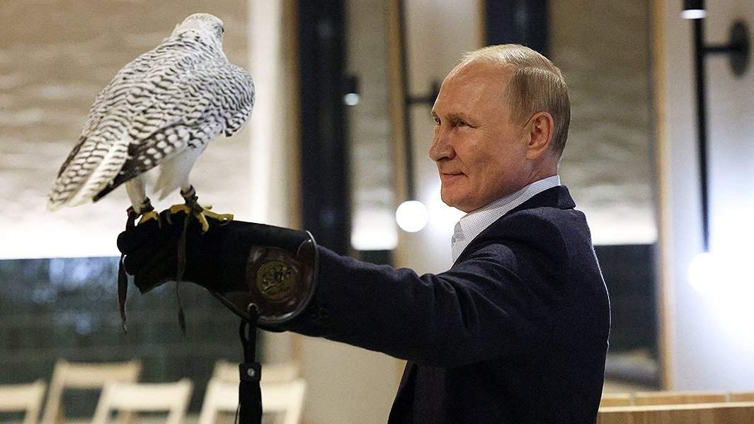 Владимир Путин во время встречи с волонтерами-орнитологами соколиного центра "Камчатка", в котором ведется работа по сохранению редких видов хищных птиц