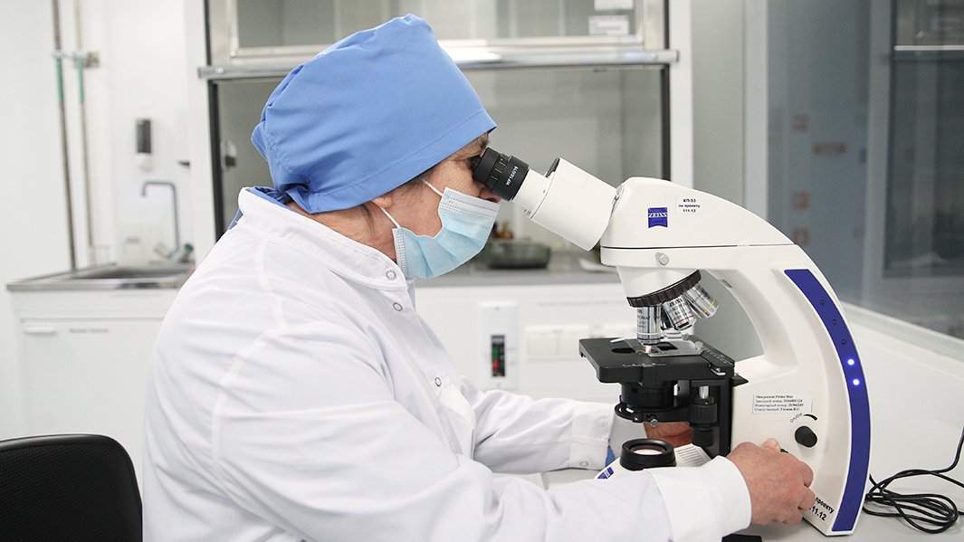 исследование